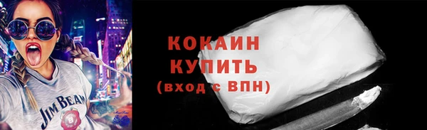 тгк Абаза