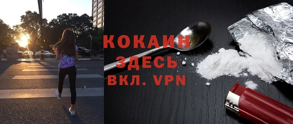 тгк Абаза