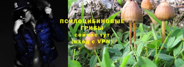 тгк Абаза