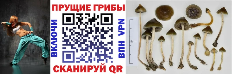 Галлюциногенные грибы ЛСД  MEGA   Шарья 