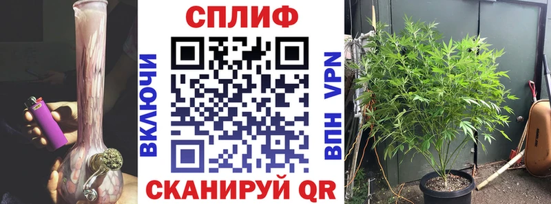 что такое наркотик  Шарья  Шишки марихуана гибрид 
